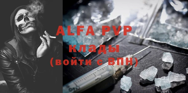 хмурый Алексин