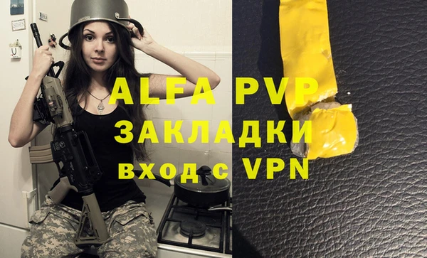 ешки Пересвет