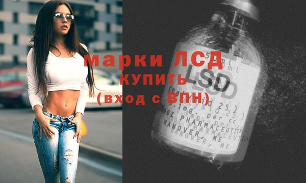 хмурый Алексин