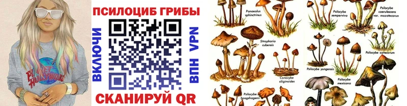 Галлюциногенные грибы ЛСД закладка Островной